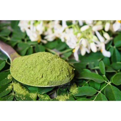 Bột Lá Chùm Ngây Sấy Lạnh Nguyên Chất NTPowder – Siêu Thực Phẩm Dinh Dưỡng Từ Thiên Nhiên 2 bot chum ngay ntpowder2