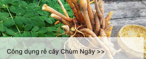 re chum ngay cong dung