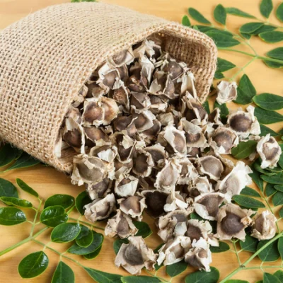 hat chum ngay co tac dung gi luu y khi su dung hat chum ngay 1 87ca34264a